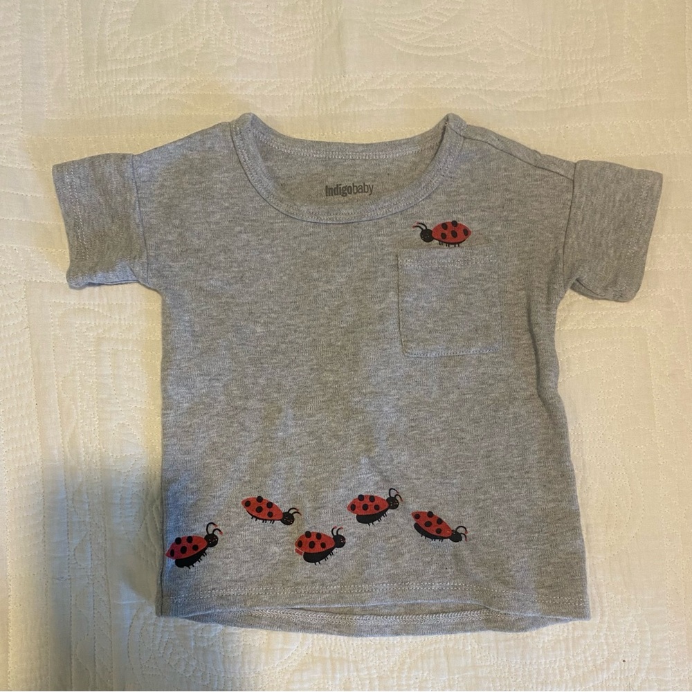 IndigoBaby Gender Neutral Grey/Red/Black Lady Bug T-Shirt Size: 12-18M